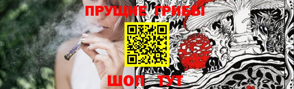 Галлюциногенные грибы Psilocybe Мариинск